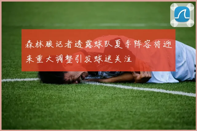 森林狼记者透露球队夏季阵容将迎来重大调整引发球迷关注