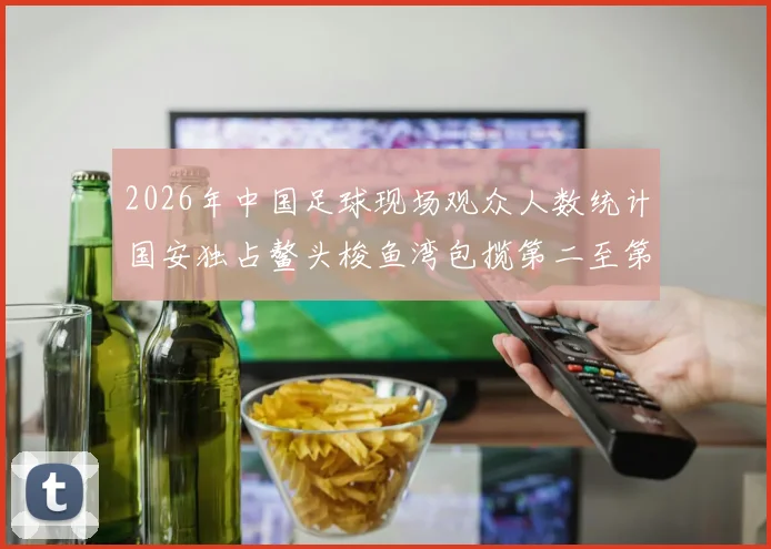 2026年中国足球现场观众人数统计国安独占鳌头梭鱼湾包揽第二至第七位